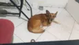 REX