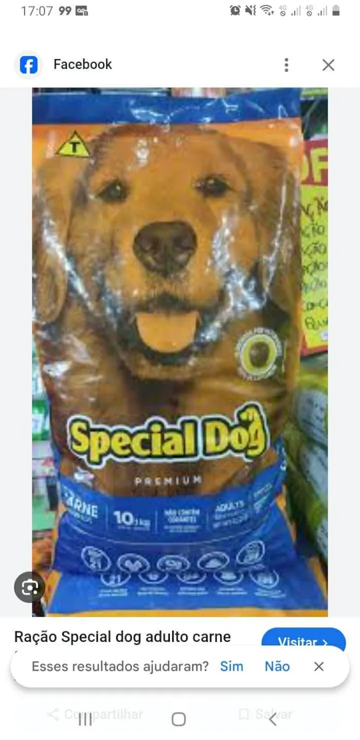 Cachorro ra a Pastor Alemão idade 5 anos nome REX