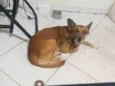 REX
