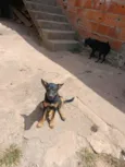 Kiara