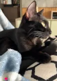PANTERA