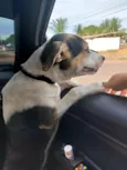 Bob