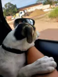 Bob