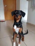 Mulan
