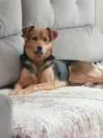 Nina