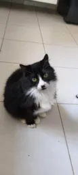 Faísca