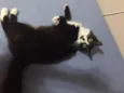 Faísca
