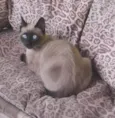 MINGAU