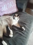 Emy