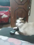 Emy