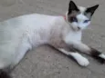 Emy