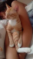 Raio de Sol (Raidisson)