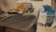 Pudim e Titis