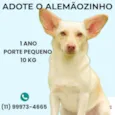 Alemãozinho
