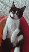 Julieta