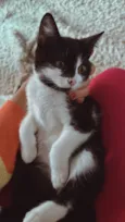 Julieta