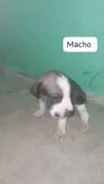 sem nome