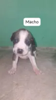 sem nome