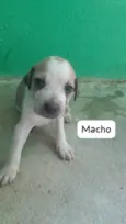 sem nome