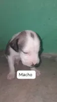 sem nome