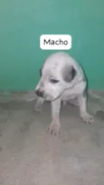 sem nome