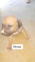 sem nome