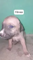 sem nome