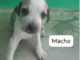 sem nome