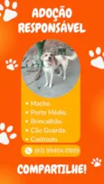Toinho