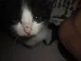 Nina
