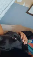 Lua