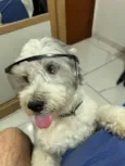 Júnior
