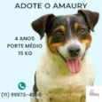 Amaury