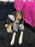 Bolt