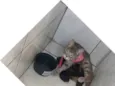Ludmila