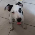 Eros