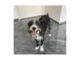 Zeca