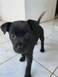 Angry