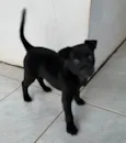 Angry