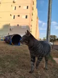 Bjorn