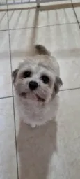 Lisa