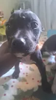 Nina