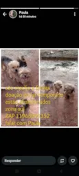 Bebes abandonados