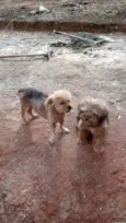 Bebes abandonados