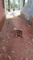 Bebes abandonados