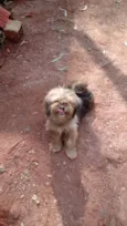 Bebes abandonados