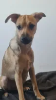 Gustavo (Gugu)