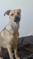 Gustavo (Gugu)