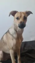 Gustavo (Gugu)