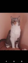 Lorenzo